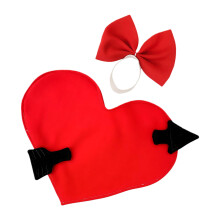 2 stuks liefde geïnspireerde ganzenkleding rood hart ontwerp
