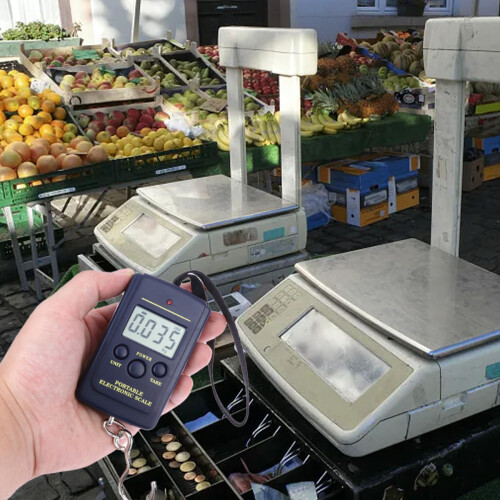 Ζυγαριά ψαρέματος Digit, φορητή ηλεκτρική ψηφιακή κρεμαστή ζυγαριά με γάντζο για 2