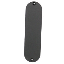 Electric Guitar Parts Backplate Back Plate Tremolo Cavity Cover Spring