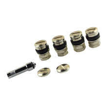 4 Piece Universal Stealth Flush Fit Car Tire Tyre Mount Hidden Valve S