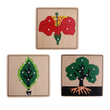 Montessori 3 Botany Puzzles for Kids Early Educational Toys
