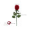 Rote Ringbox Rosendesign Romantische Schmuck Aufbewahrung 3