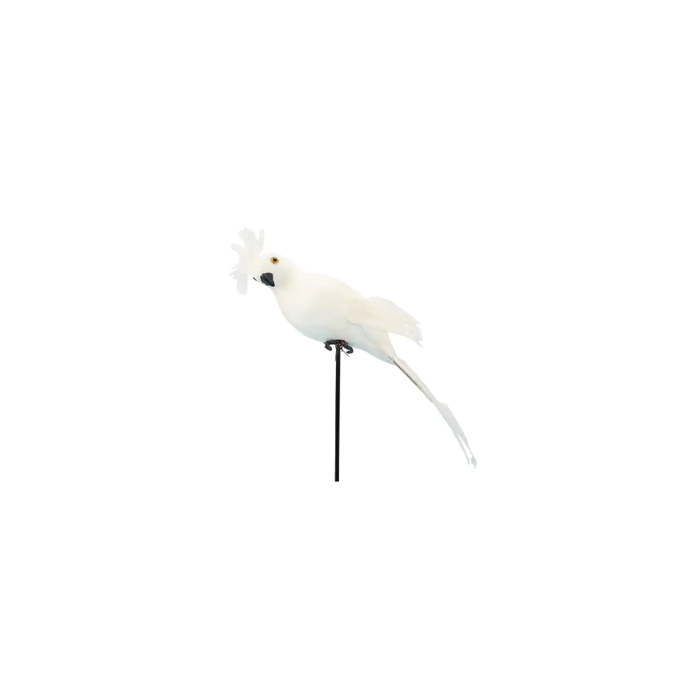 Realistic Model Toy For Garden Decoration, Exquisite Craftsmanship In Simulation Feather Parrot With Eco-Friendly Non-Toxic Materials, Durable Build 9190834269870