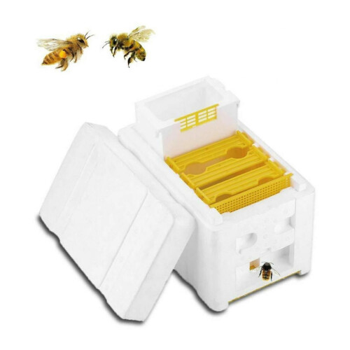 Beekeeping Tool Kit Bee Hive Frames Bee Mating Box for Safe Beekeeping