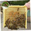 Beekeeping Tool Kit Bee Hive Frames Bee Mating Box for Safe Beekeeping 2