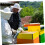 Beekeeping Frame Holder Honey Extraction Tool Kit Hive Uncapping Tank Holder Beekeeper Tool Beekeeping Supplies 5