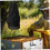 Swarm Trap, Waterproof  Windproof Black Cage Bee Swarm Trap with Drawstring 5