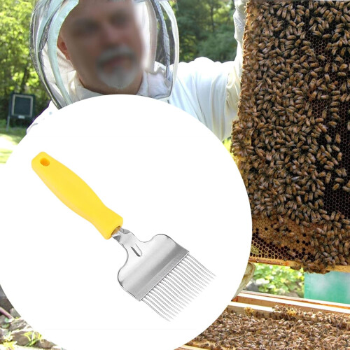 Stainless Steel Beekeeping Uncapping Fork for Raking Off Capping and Checking Varroa 1