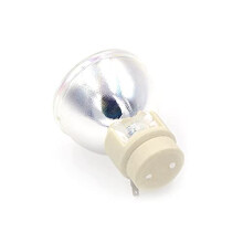 SP.70201GC01/SP.77011GC01 BLFP210A/BLFP210B lamp for W351/X351/W316ST/X316ST/HD28DSE/X350/DH1012/EH341 Projector