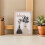 Beige Sleutelbox Met Gedroogde , Creatief Wandrek 5