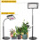 Grow Light for Indoor Plants Style 04 5