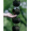 Rain chains made of ABS material, rain chains for gutters, 480cm Black 4