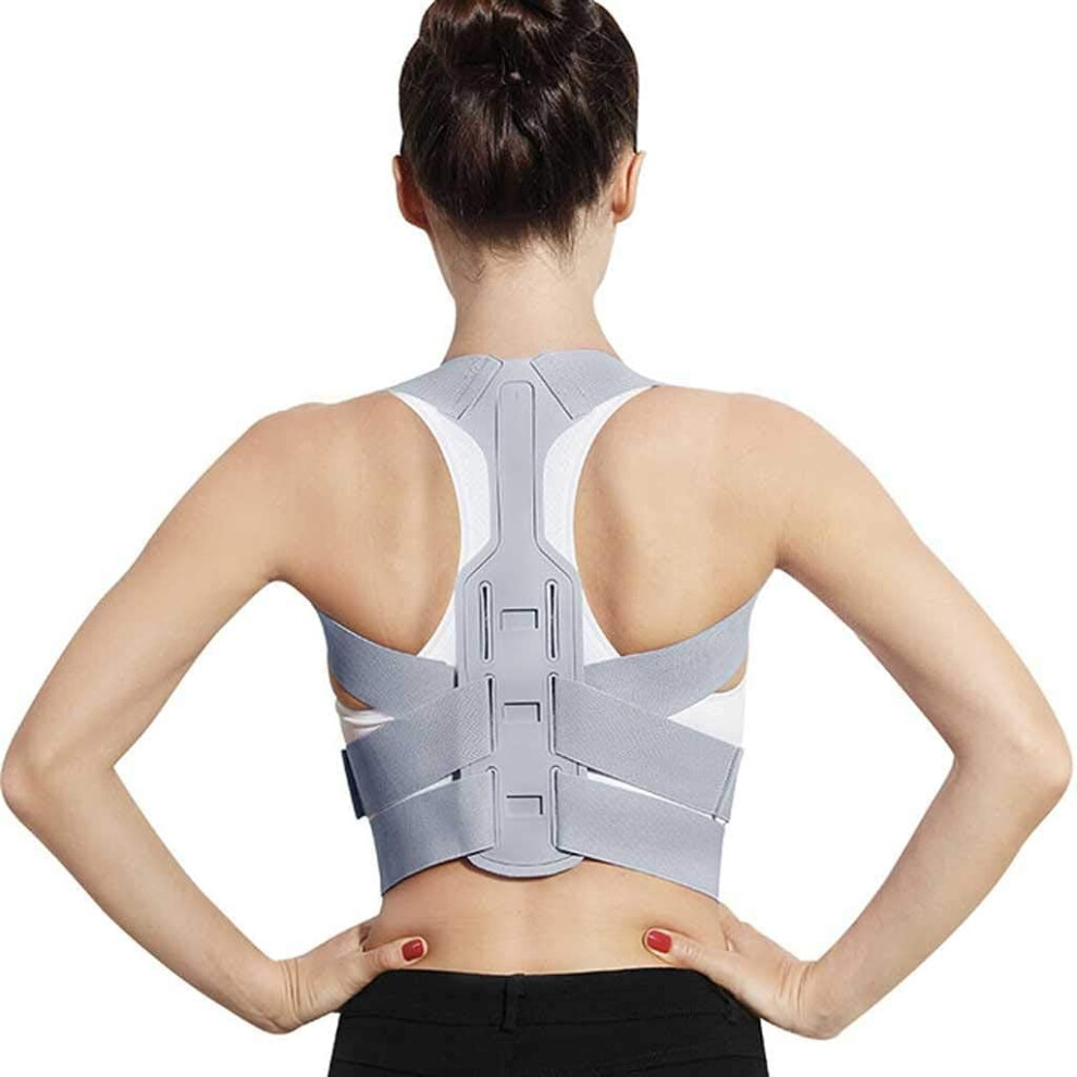 Lordosis Support Belt Adjustable Back Posture Corrector (Gray, Medium)