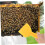 Honey Beekeeping Tool Beehive Beekeeping Tool Lightweight Sturdy Easy to Clean 4