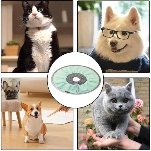 Dog Cone: Lightweight and Comfortable Cone for Kittens  Protective Cone for Cats 2