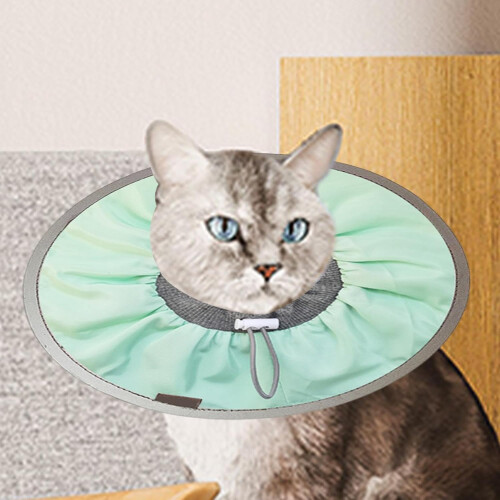 Dog Cone: Lightweight and Comfortable Cone for Kittens  Protective Cone for Cats 1