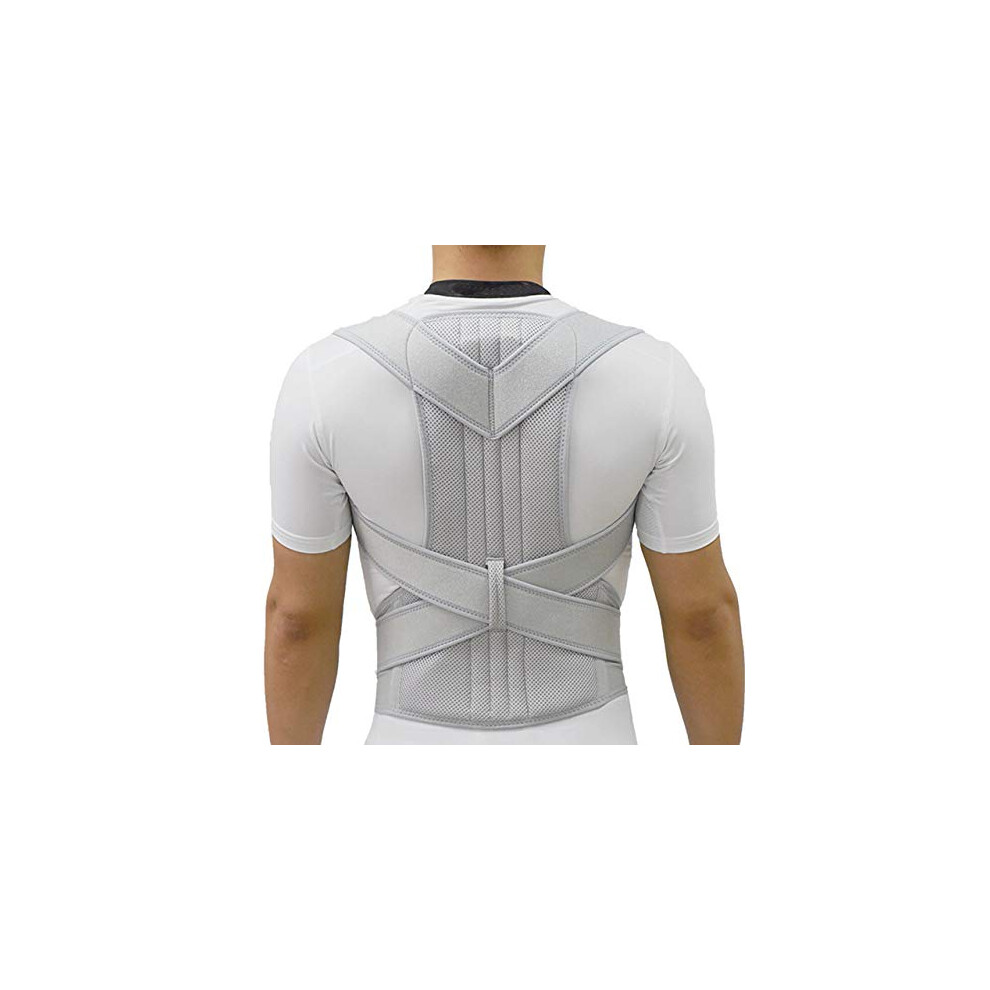 Back Support, Back Posture Corrector, Clavicle Posture Corrector (Color: L) (S)