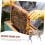 Bee Hive Frame Clip Beekeeping Tool Bee Hive Frame Connector Stainless Steel 4