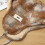Stylish Grid Fleece Lined Earflap Hat Headgear for-red blue 2