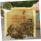 Box Bee Tool Beekeeping Accessory Beekeeping Tool 3