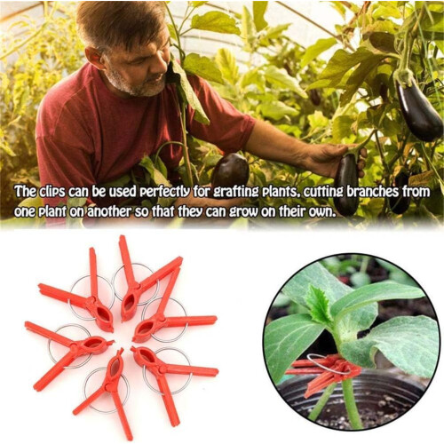 Grafting Clips, 100PCS Reusable Round Fixing Rings, Gardening Tools 1
