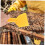Beekeeping Tool Plastic Honey Scraping Tool Beekeeping Supplies for Beekeepers 5