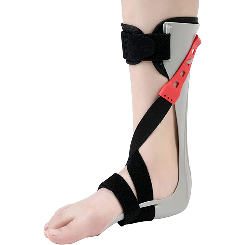 Foot lifter ankle brace, foot support, splint, ankle and foot orthosis â ideal for foot drop for men and women, left, S