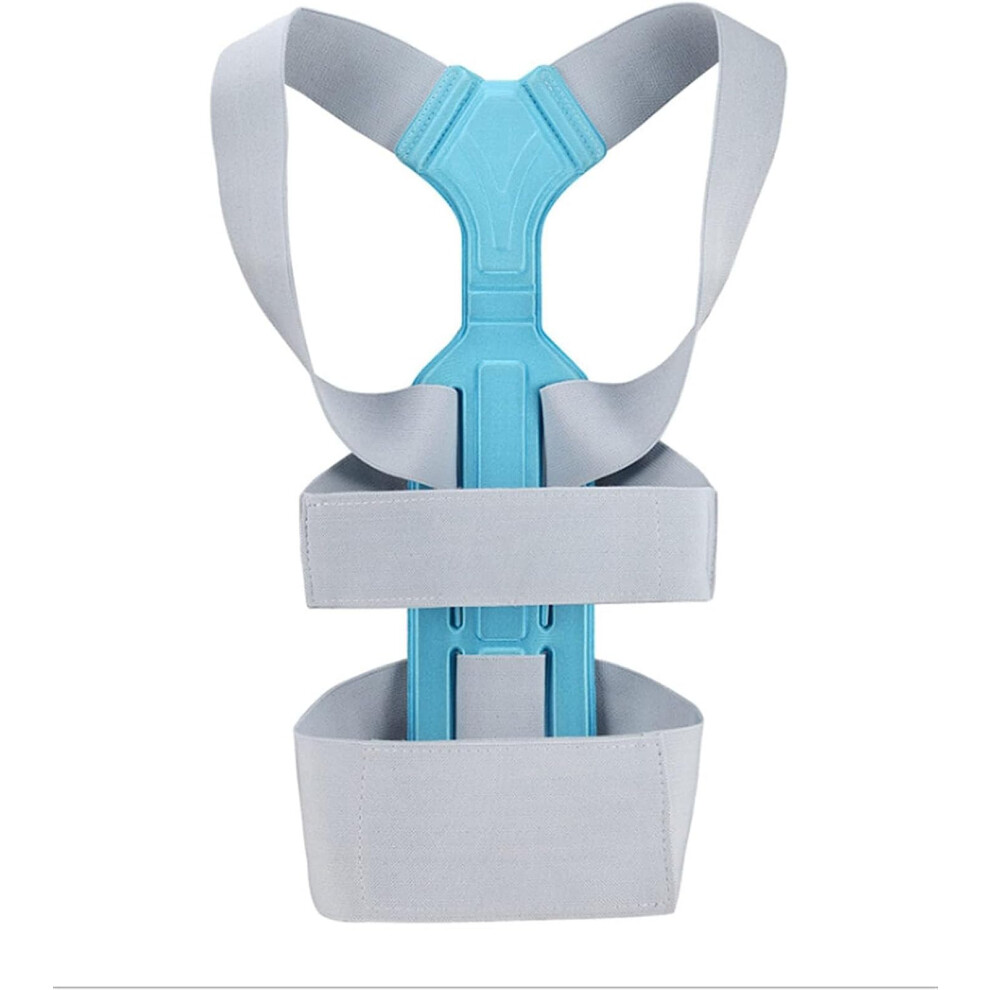 Posture Corrector Scoliosis Back Support Spine Belt Shoulder Medical Therapy Support Poor Posture Correction Belt, L (Small) Charitable