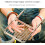 Campfire Grills  Cooking Grate Over Fire, Portable Camping Grill 2