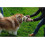 Dog Training Cushion with Handles, 29 x 20 x 9 cm 2