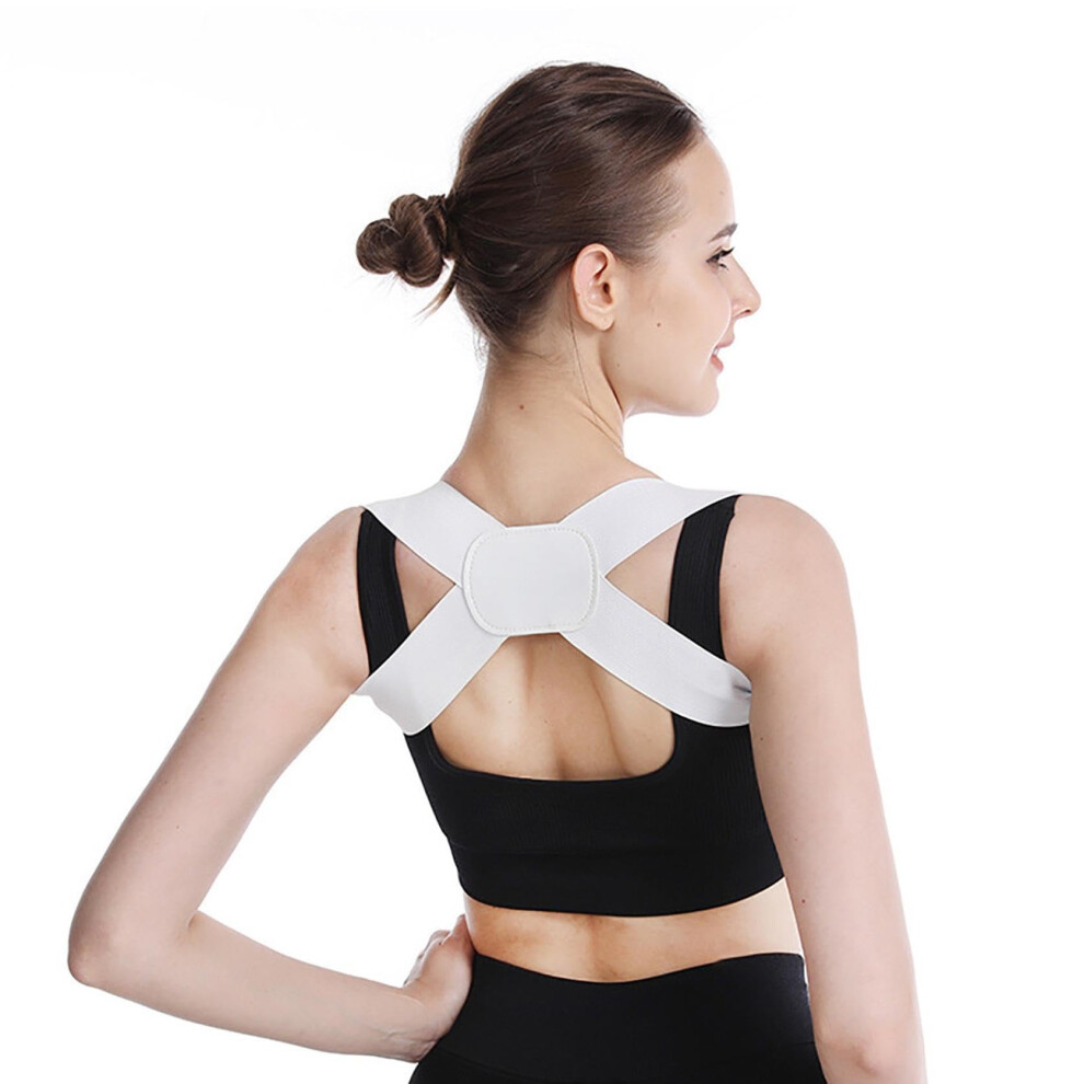 White Back Support Belt Back Straightener For Men And Women Posture Corrector (White)