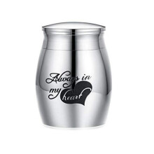 Stainless Steel Cremation Urn For Pet Ashes Keepsake Ature Burial Funeral Urns For Sharing Ashes Dogs Cats Human