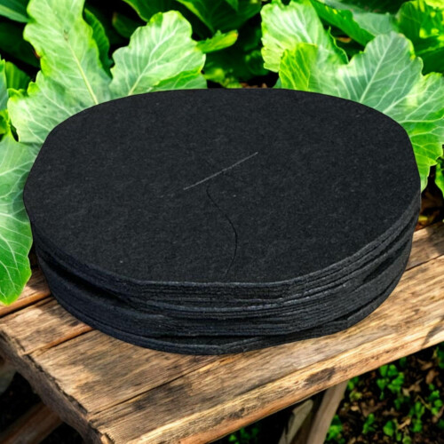 Vitax Vitax Cabbage Collars 30pcs x2 for Plant Protection 2