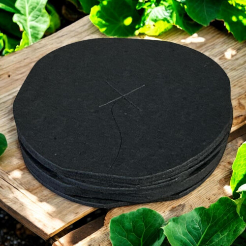 Vitax Vitax Cabbage Collars 30pcs x2 for Plant Protection 1