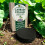 Vitax Vitax Cabbage Collars 30pcs x2 for Plant Protection 7