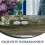 2Pcs Acrylic Flower Arranging Disk Clear Floral Grid Tool for Home Use 8