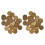 1Conjunto Decoração Conchas De Natural Cor Marrom 8