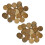 1Conjunto Decoração Conchas De Natural Cor Marrom 1