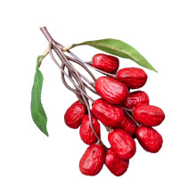 Reddates artificielles, ornement de Jujube réaliste, modèle de-D