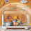 Bottle Drying Rack Storage, Plastic Nursing Bottle Storage, Drainage Bottle Box Dustproof Lid 3