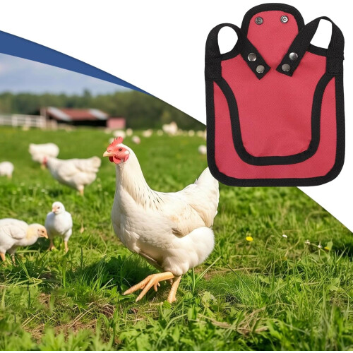 Hen Saddle Wing Back Protector Vest With Adjustable Straps For Coop Poultry Comfort Red 1