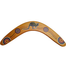Sportieve Boomerangs Voor Leuk Buitenspelen