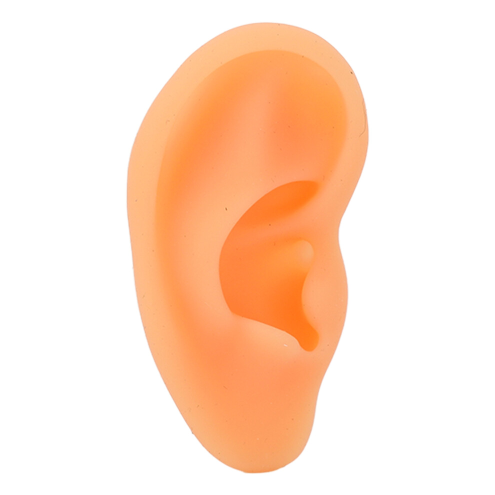 Ear Piercing Practice On Simulation Skin, Flexible Fake Ear Model With Clear Structure For Educational Purposes, Jewelry Display With Realistic Body