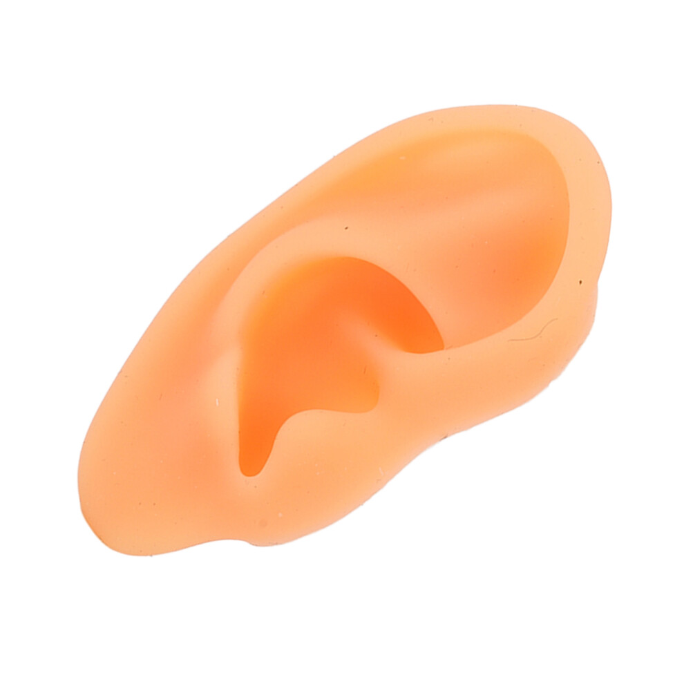 Soft Silicone Ear Model for Hearing Aid Display & Practice, Right