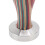 Buntes Holz 51mm Kaffee-Tamper, flache Basis 6