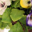 Oypla Oypla Artificial Garden Hanging Wicker Basket with Multicoloured Flowers 11