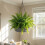 Pack of 2 Plant Support Hook Support For Indoor Decoration and 6