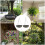 Pack of 2 Plant Support Hook Support For Indoor Decoration and 2