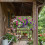 Pack of 2 Plant Support Hook Support For Indoor Decoration and 5