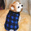 Warmer und bequemer Fleece-Hundepullover mit Karomuster,-M. 6